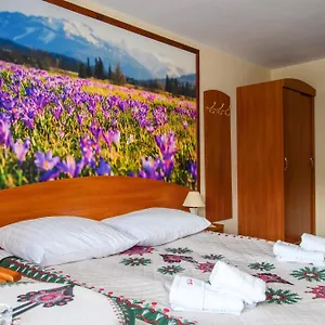 Bed & Breakfast Kubik Zakopane